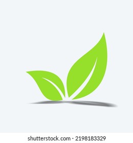 ilustración de hoja gráfica vectorial, buena para la nutrición del producto, vegetal y etc.