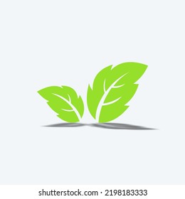 leaf illustration vector graphic, good for product nutrition, vegan and etc.