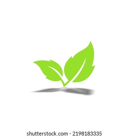 leaf illustration vector graphic, good for product nutrition, vegan and etc.