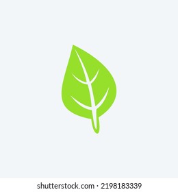 leaf illustration vector graphic, good for product nutrition, vegan and etc.