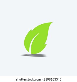 leaf illustration vector graphic, good for product nutrition, vegan and etc.