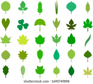 Leaf illustration vector illustration set