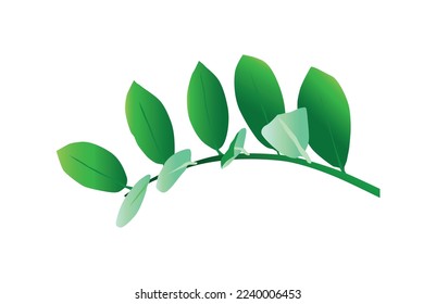 Leaf illustration, vector illustration, white background Terjemahkan