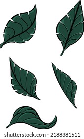 Leaf Illustrator Vector Design for Wedding Invitation Card Elements or Needs