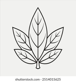 Leaf Image Vector illustration Outline 