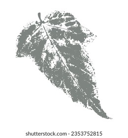 Linzer Aufdruck einzeln auf weißem Hintergrund. Vektor monochrome botanische Elemente.