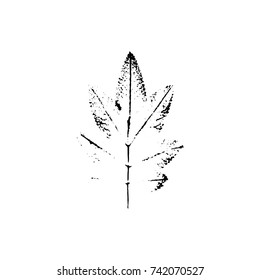 Leaf imprint, natural texture. Autumn foliage, vector black on white illustration. Isolated element for decorative floral design, vintage background.