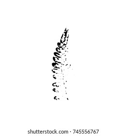 Leaf imprint, natural texture. Autumn foliage, vector black on white illustration. Isolated element for decorative floral design, vintage background.