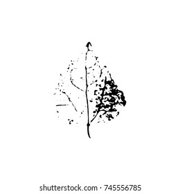 Leaf imprint, natural texture. Autumn foliage, vector black on white illustration. Isolated element for decorative floral design, vintage background.