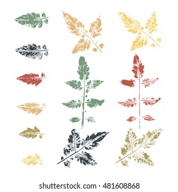 Leaf imprints. Leaves Set