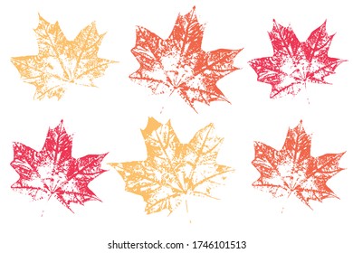 Leaf imprints. Leaves Set Autumn foliage, vector colored illustration. Isolated objects on white background. Vector illustration.