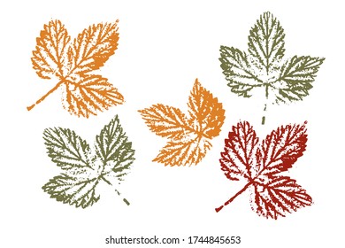 Leaf imprints. Leaves Set Colored silhouettes of leaves. Overlay template. Vector illustration.