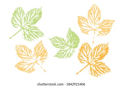 Leaf imprints. Leaves Set Colored silhouettes of leaves. Isolated objects on white background. Vector illustration.