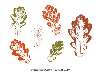 Leaf imprints. Leaves Set Natural ink imprint of autumn leaf with streaks and texture. Isolated objects on white background. Vector illustration.