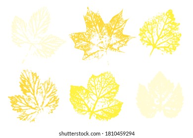 Leaf imprints. Leaves Set  Objects isolated on white. Overlay template. Vector illustration.