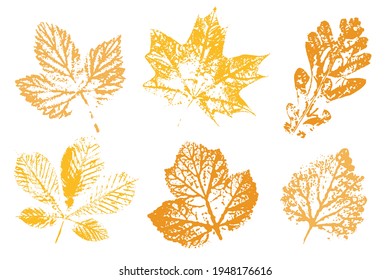 Leaf imprints. Leaves Set  Objects isolated on white. Overlay template. Vector illustration.