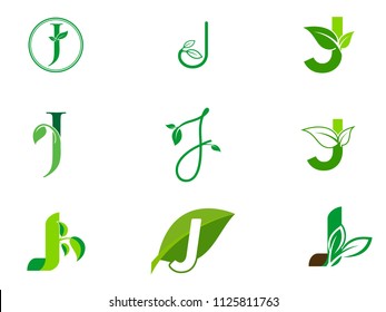 leaf initials O logo set, natural green leaf symbol, initials O icon design