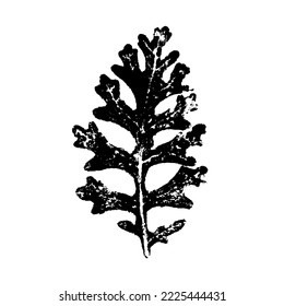 Leaf ink prints. Autumn herbarium, stamps leaves of trees. Grunge texture. Vector illustration. Black and white.