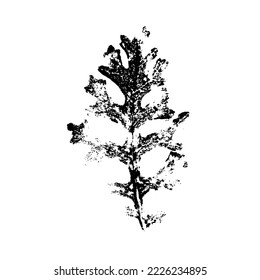 Leaf ink prints. Autumn herbarium, stamps leaves of trees. Grunge texture. Vector illustration. Black and white.