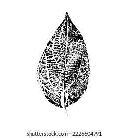 Leaf ink prints. Autumn herbarium, stamps leaves of trees. Grunge texture. Vector illustration. Black and white.