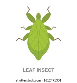 Leaf insect flat icon on white transparent background. You can be used leaf insect icon for several purposes.