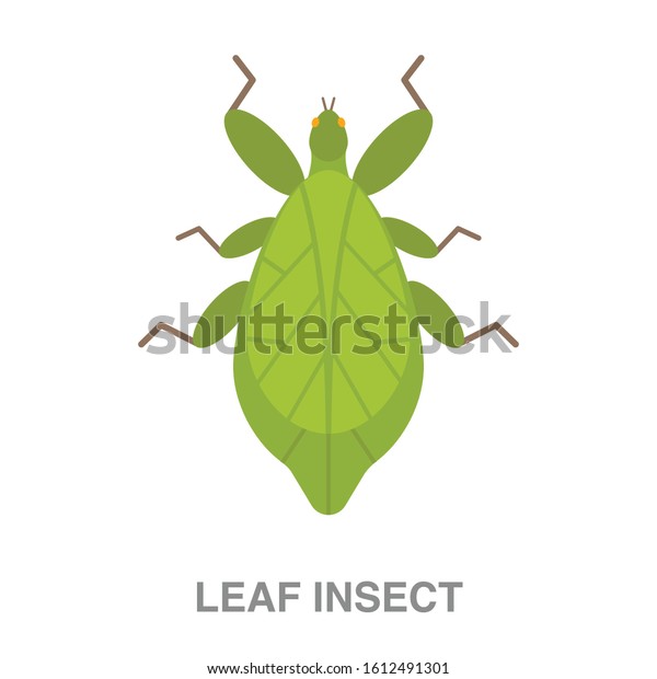 Leaf insect flat\
icon on white transparent background. You can be used leaf insect\
icon for several\
purposes.