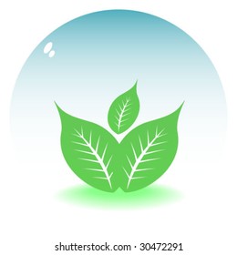 leaf inside in globe