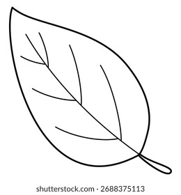 Hoja aislada doodle contorno sobre fondo blanco