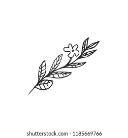 leaf isolated on white background, vector illustration