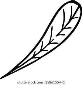 Leaf isolated  on white background
