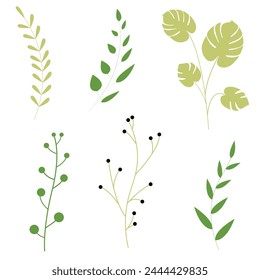leaf isolated on white background. illustration of a green leaf. Flowers set vector illustration. Neutral flowers, minimalism.