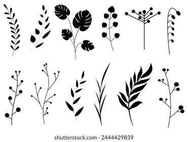 leaf isolated on white background. illustration of a green leaf. Flowers set vector illustration. Neutral flowers, minimalism.