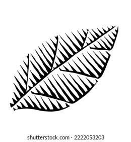 A Leaf isolated on white. ink, sketch Hand drawn vector, engraving style illustrations. for element