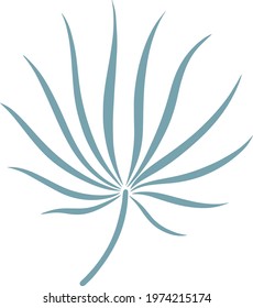 Leaf isolated on white. Tropical leaf. Hand drawn vector illustration.