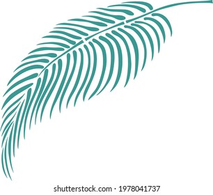 Leaf isolated on white. Tropical leaf. Hand drawn vector illustration.