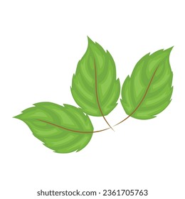 ilustración vectorial aislada de hoja sobre fondo blanco