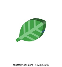 Leaf isometric left top view 3D icon