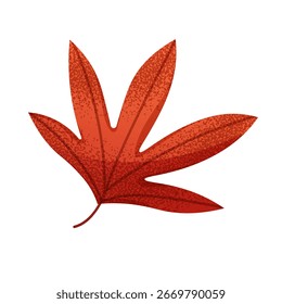 Leaf of Japanese red maple. Autumn red leaf. Vector isolated fall element