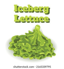 Leaf of Juicy Appetizing Iceberg Lettuce Casting Soft Shadow. Naturalistic Realistic Object Drawing of Lettuce Leaf Isolated on White Background. Healthy Diet Food.