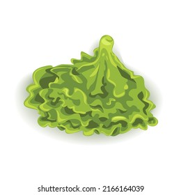 Leaf of Juicy Appetizing Iceberg Lettuce Casting Soft Shadow. Naturalistic Realistic Object Drawing of Lettuce Leaf Isolated on White Background. Healthy Diet Food.