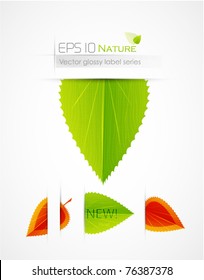 Leaf labels