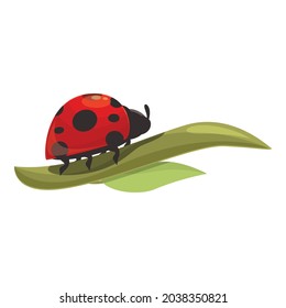 Leaf ladybug icon cartoon vector. Ladybird spring. Summer beetle
