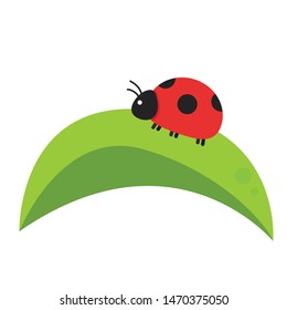 Leaf and ladybug vector. Leaf logo design. ladybug cartoon.