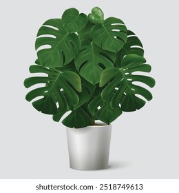 Leaf leave tree stand top Plant A Potted Plant Against a Crisp vector