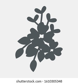 Leaf leaves botanic flowers elements vector illustration cut