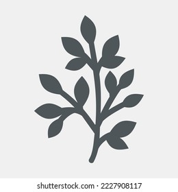 Leaf leaves botanic flowers elements vector illustration cut