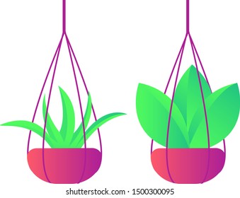 Leaf leaves color gradient element palm illustration decoration tree vector nature green garden art