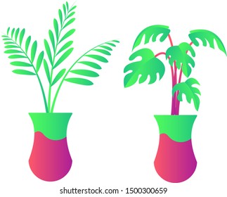 Leaf leaves color gradient element palm illustration decoration tree vector nature green garden art