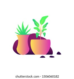 Leaf leaves color gradient rock element pot illustration decoration vector nature  garden art