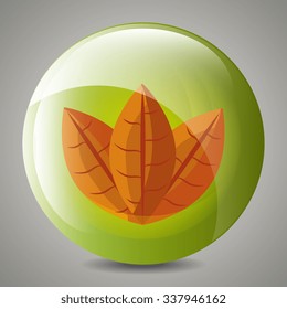 Leaf and leaves ecology graphic design, vector illustration eps10